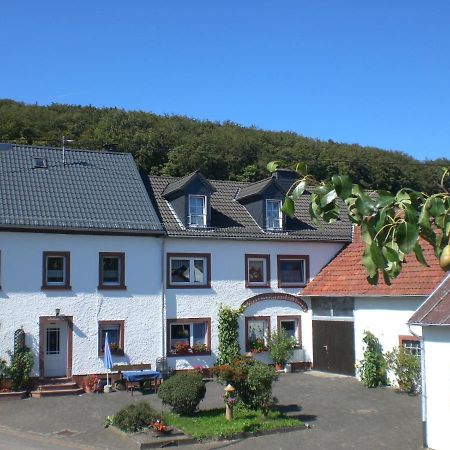 Ferienhof An Der Lay Kerpen  Dış mekan fotoğraf