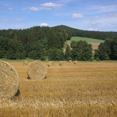 Ferienhof An Der Lay Kerpen  Dış mekan fotoğraf