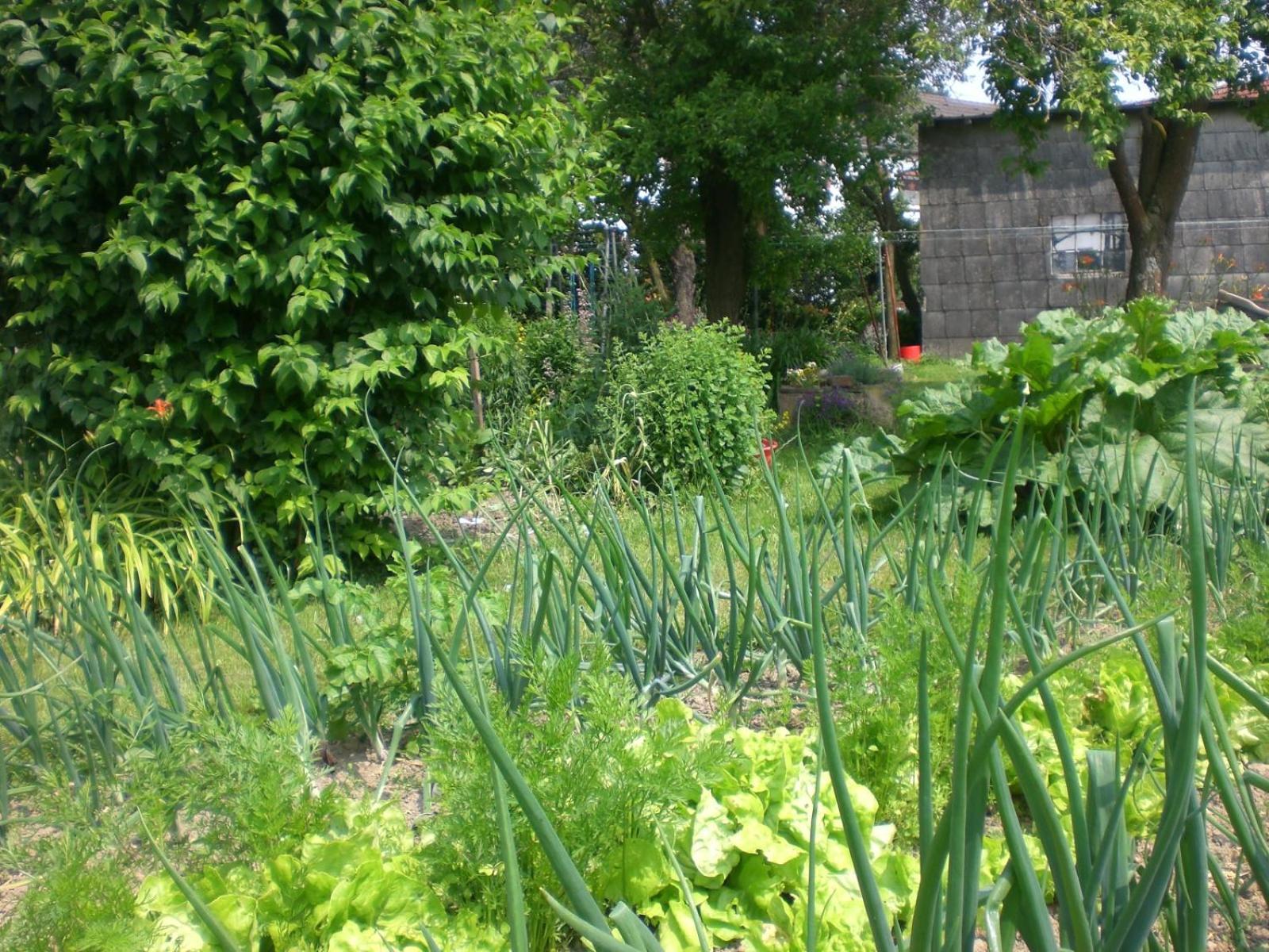 Ferienhof An Der Lay Kerpen  Dış mekan fotoğraf