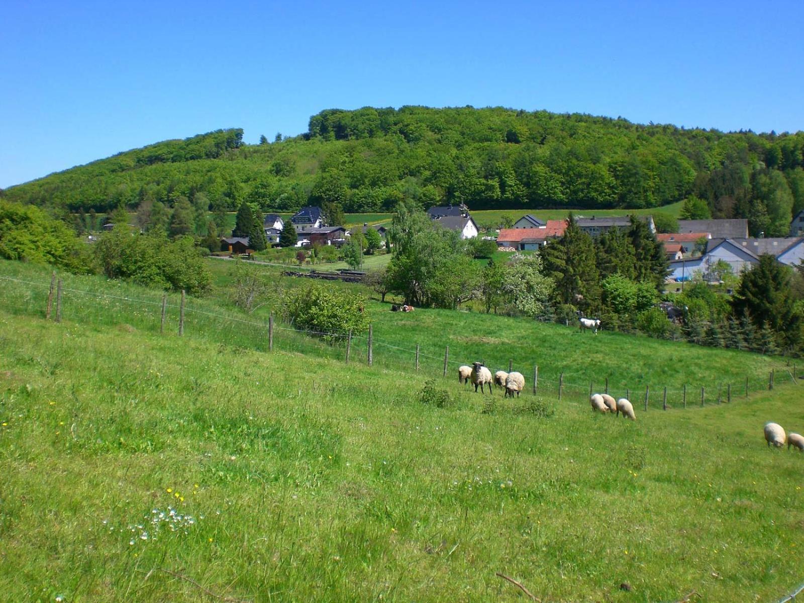Ferienhof An Der Lay Kerpen  Dış mekan fotoğraf