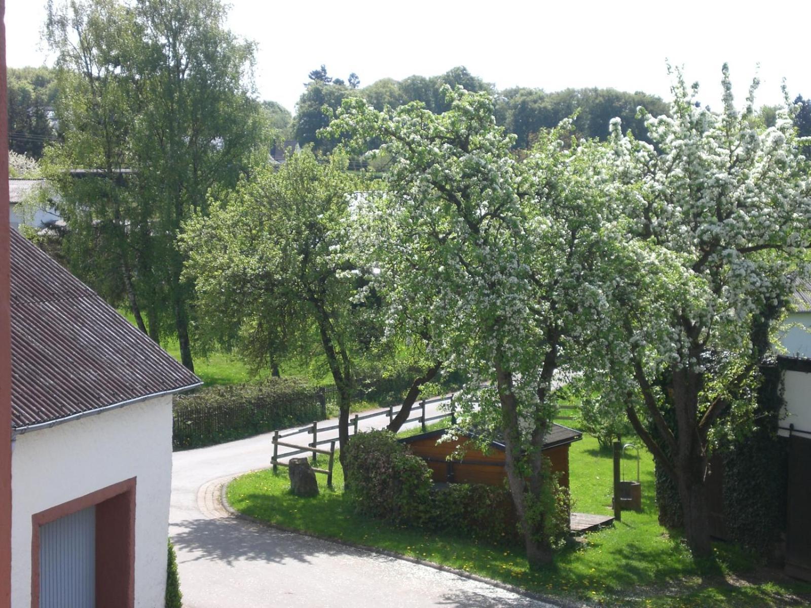 Ferienhof An Der Lay Kerpen  Dış mekan fotoğraf