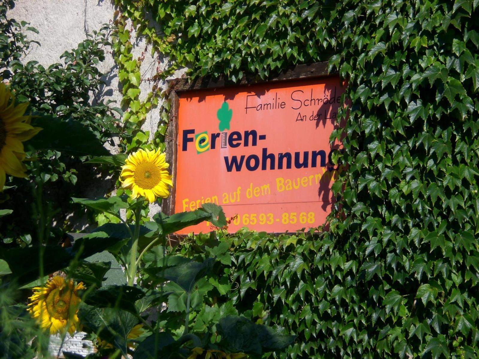 Ferienhof An Der Lay Kerpen  Dış mekan fotoğraf