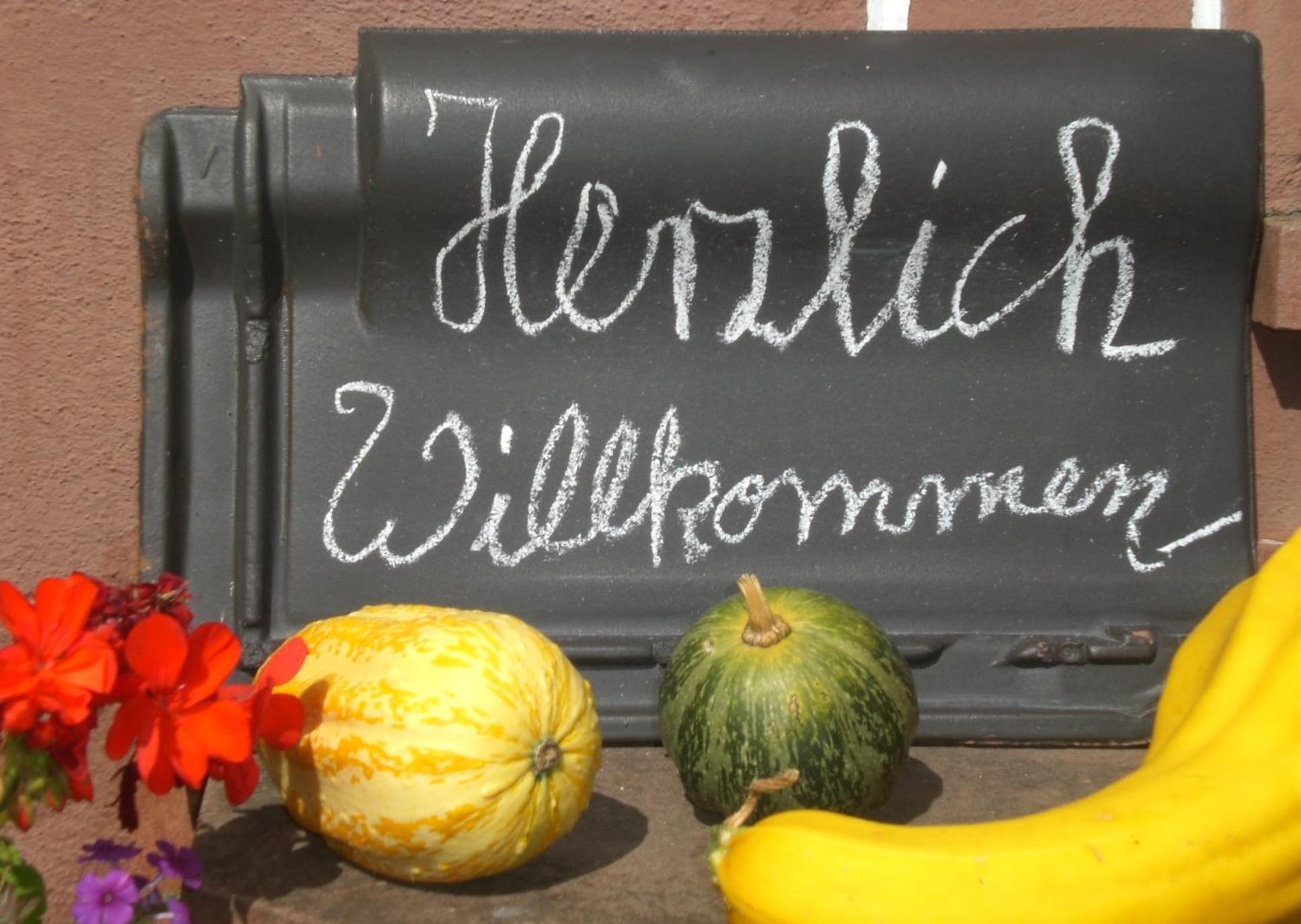 Ferienhof An Der Lay Kerpen  Dış mekan fotoğraf
