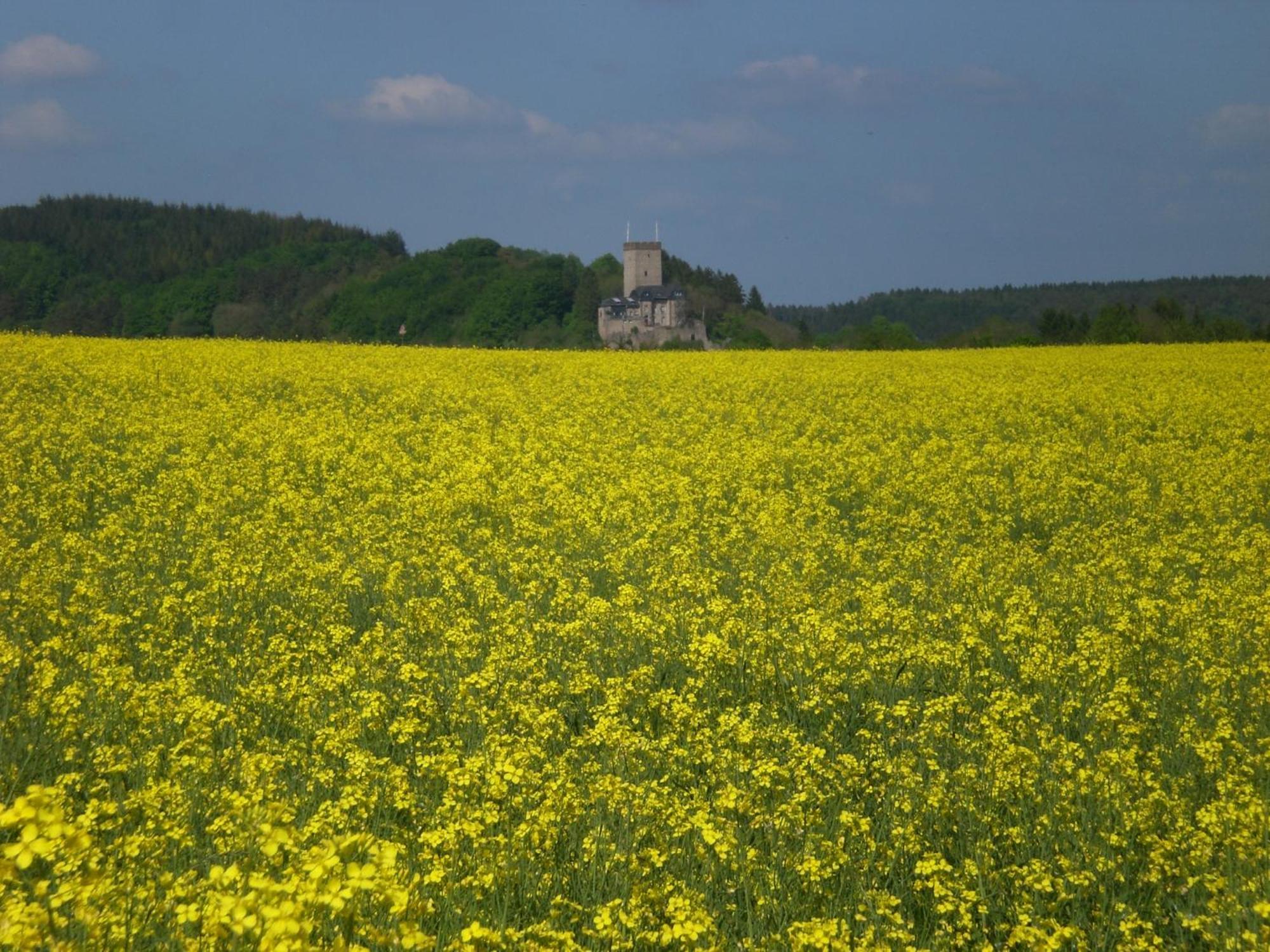 Ferienhof An Der Lay Kerpen  Dış mekan fotoğraf