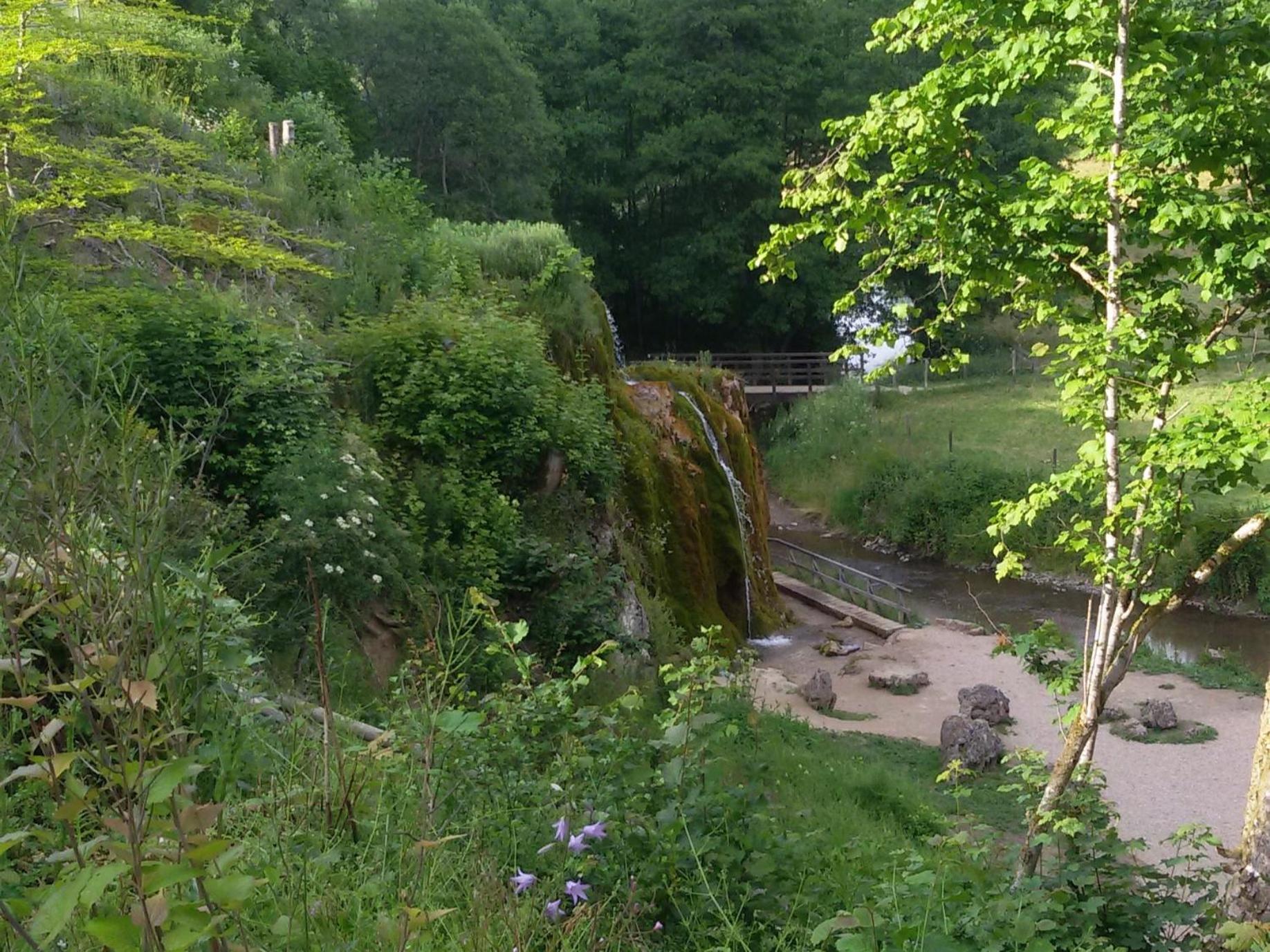 Ferienhof An Der Lay Kerpen  Dış mekan fotoğraf