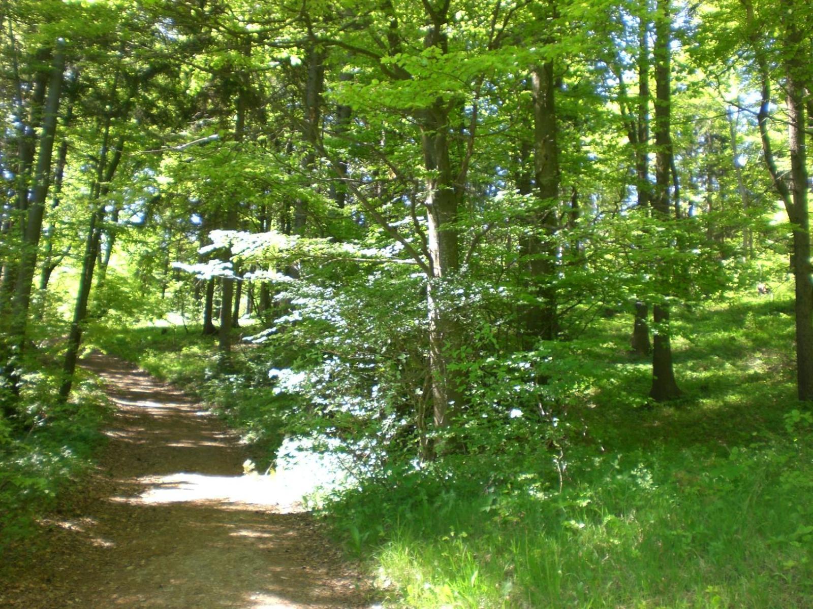 Ferienhof An Der Lay Kerpen  Dış mekan fotoğraf