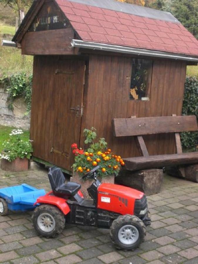 Ferienhof An Der Lay Kerpen  Dış mekan fotoğraf